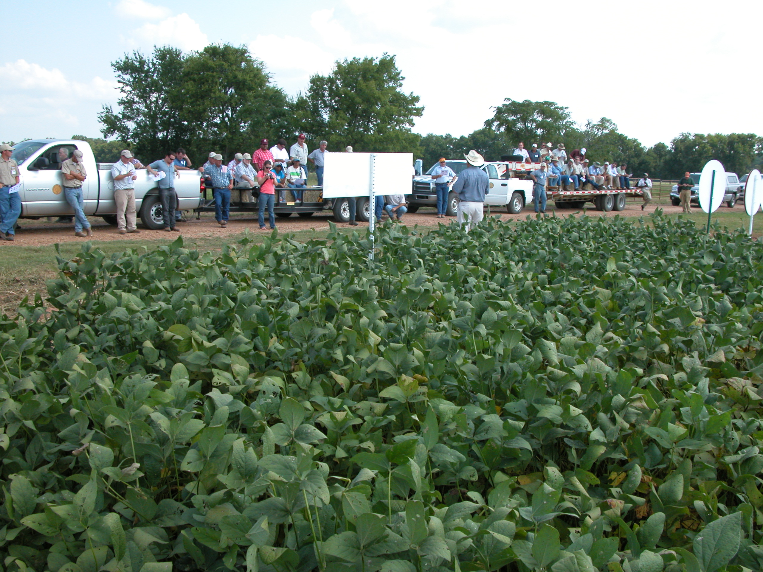 LSU AgCenter field day expo set for June 19 in Winnsboro